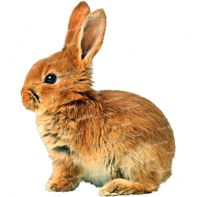 Description Picture 5 of itemThree Ratels CP4 Cute bunny animal cartoon sticker Bedroom wall sticker Toilet decal waterproof self-adhesive