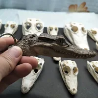 Animal Skullsmall Ornaments Crocodile Ornament Specimen Key Buckle Creative and Personalized Decorations Handicrafts Gifts 1
