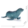 Ocean Animal-10