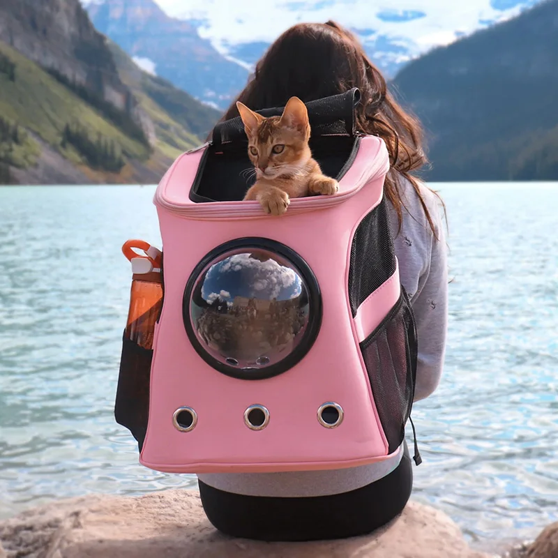 Small Dog Carrier Backpack Breathable Large Pet Cat Carrier Backpack Bubble Backpack Carrier for Cats Puppy