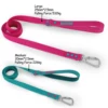 Small dog leash small dog new Generation Medium automated hook leash for dog Walking 3