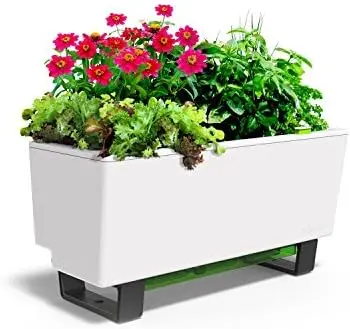 

Mini Bench Planter - 23.6" in Pot, UV Stable, Scalable, Indoor | Outdoor, Water Gauge | Stand for Kitchen Windowsill Gardeni Pla