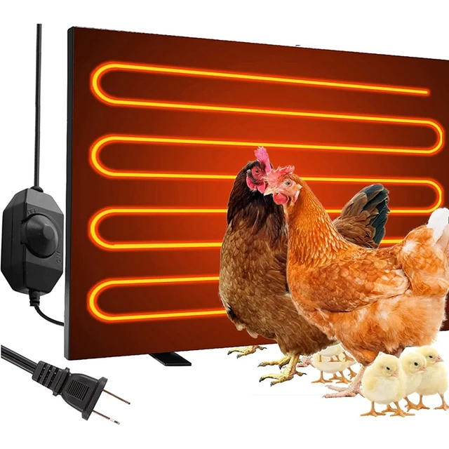 Cordless Heat Lamp For Chickens Sales Online www.meesenburg.kz