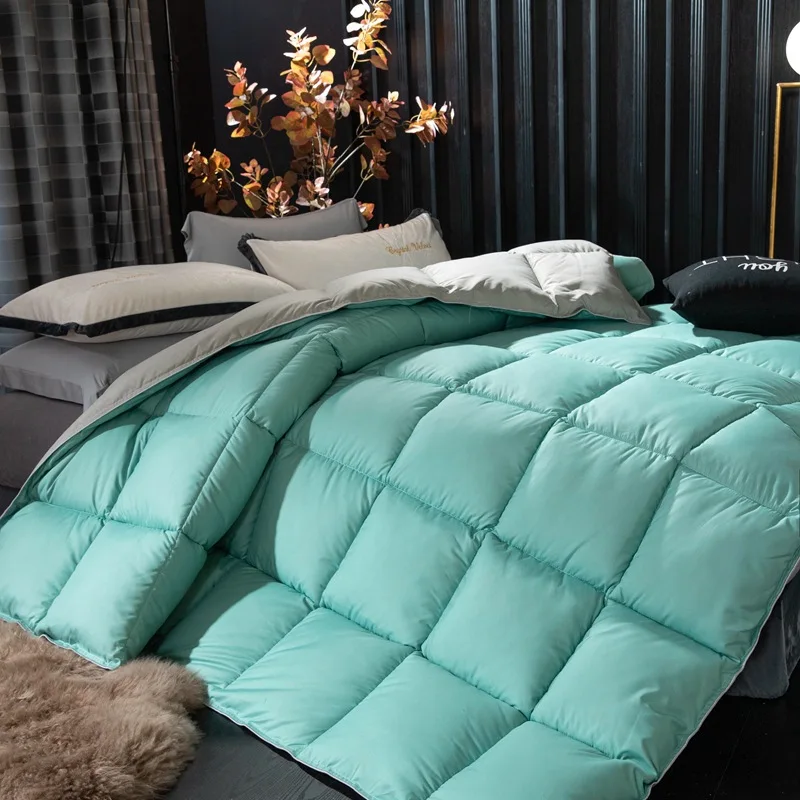 Down Duvet Cotton Winter Duvet Goose Down Duvet Core Student Thick