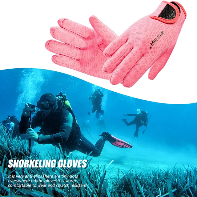 Dive Board  Diving, Kayak accessories, Spearfishing gear