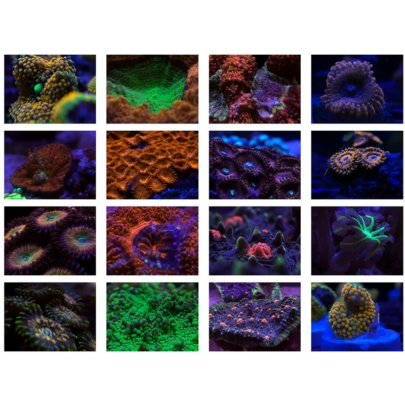 Aquarium Smartphone Camera Lens Filter 4 in 1 Kit for Coral Reef Aquarium Photography