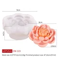 Mold NO ZW-319