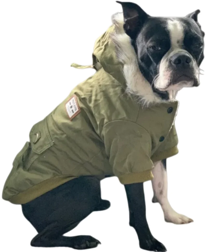 따뜻한 애완견 옷 두꺼운 겨울 코트 강아지 고양이 영국식 격자무늬 재킷 오버롤 강아지 조끼 치와와 의류 애완동물 제품