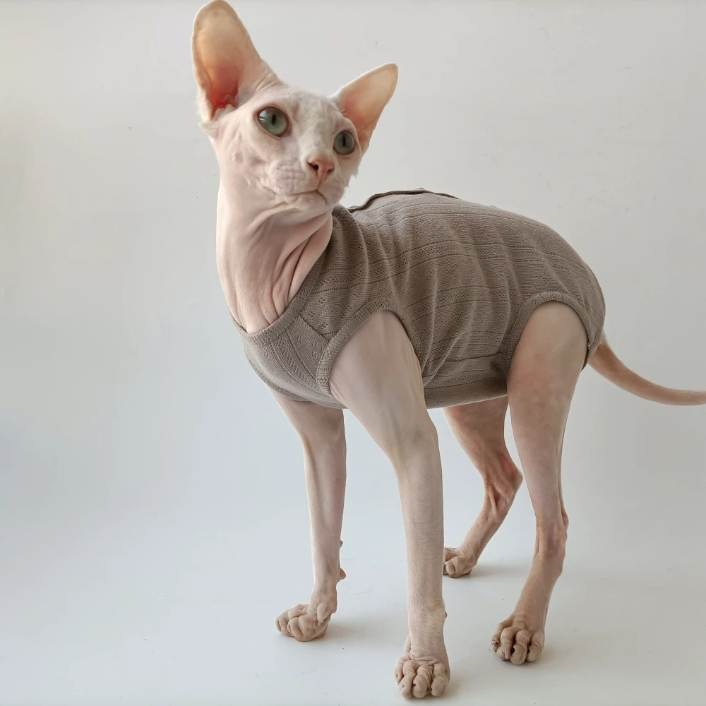 Sphynx Cat Recovery Suit — Soft Cotton