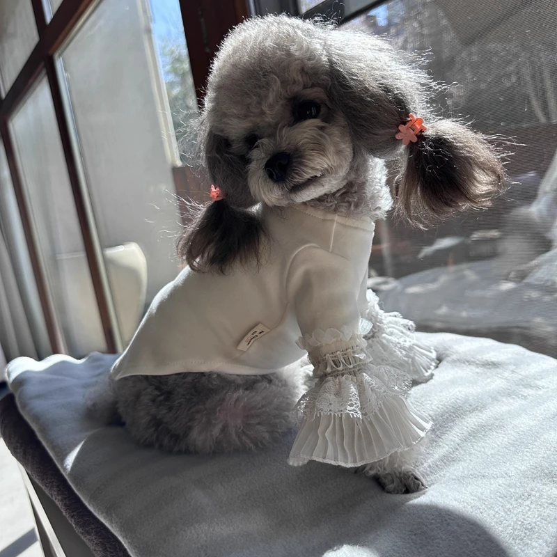 Puppy T-shirt Thin Section Pet Cotton Cute Lace Long Sleeve