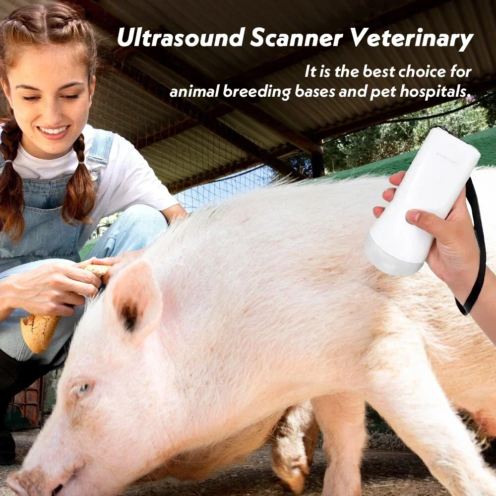 Wireless Veterinary Ultrasound Scanner Handheld Ultrasound Machine Wireless Colo
