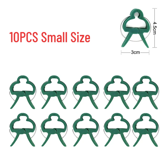 10pcs small