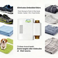 Qiumi Installation du chauffe-eau à l'ozone intelligent domestique, générateur d'ozone spécial pour le lavage mach 6
