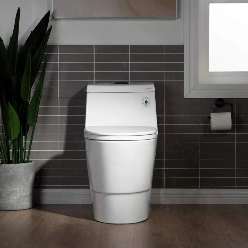 One Piece Toilet with Soft Closing Seat, Chair Height, 1.28 GPF Dual, Water Sensed, 1000 Gram MaP Flushing Score Toilet with Mat