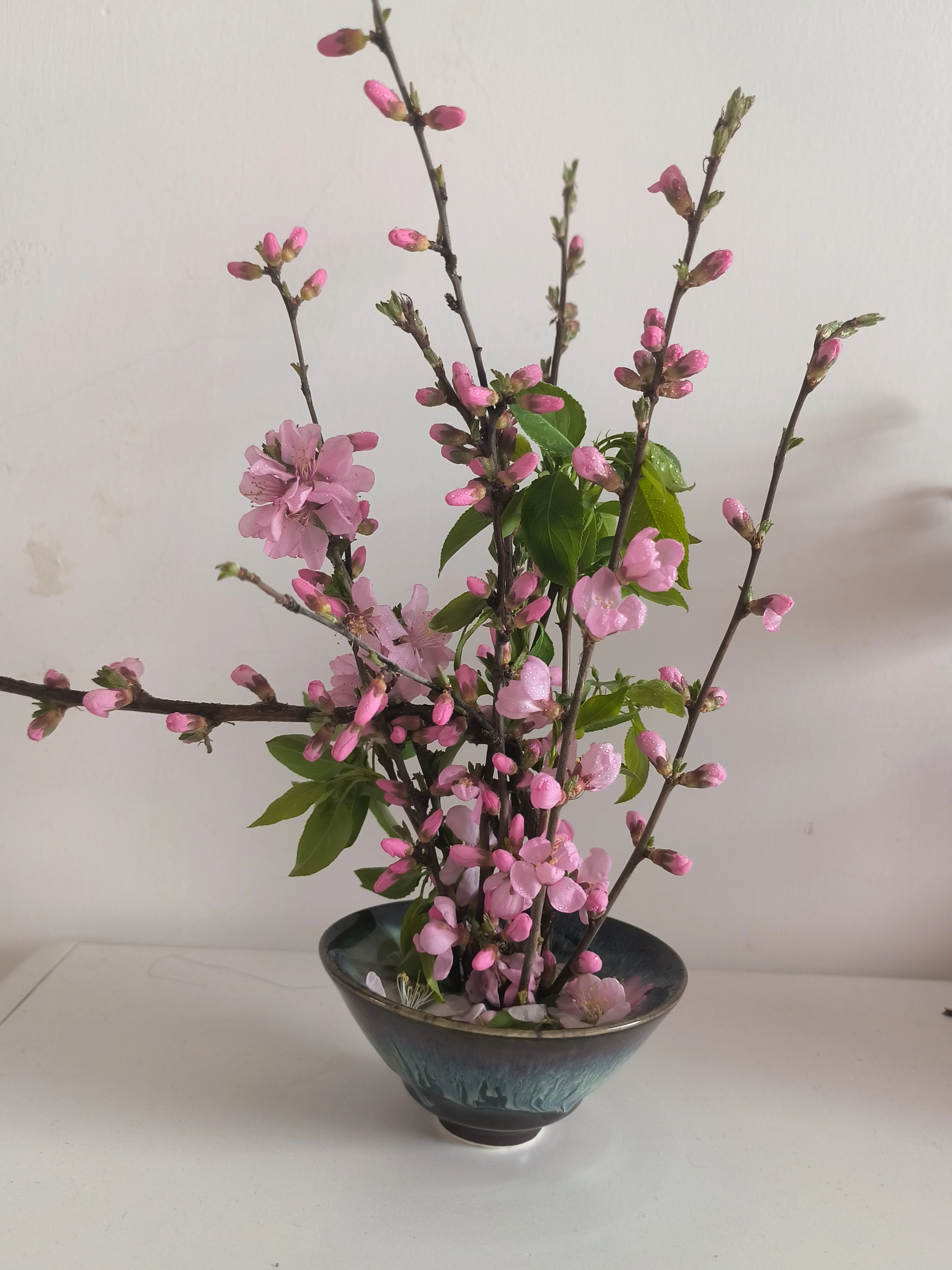 Japanese Ikebana Kenzan Needle Flower Base Brass Holder Spiky Frog