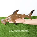 Hammerhead shark-4