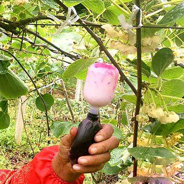 Kerti Szerszám Kézboláló Gyümölcsfa Beporzó Paradicsom Őszibarack Körte Fák Gyümölcs Virágmás - Image 6