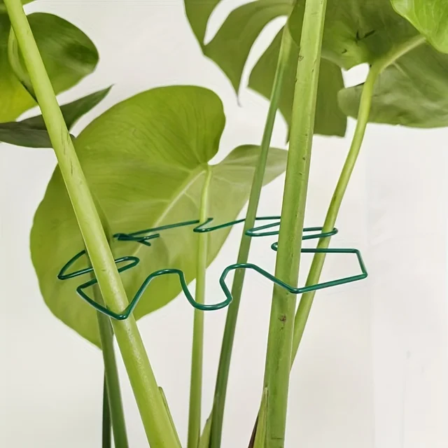 Plant Stabilizer Plant Holder For Supporting Monstera And Flowers Plant Support 2