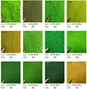 Simulation Fine Tree/Grass Terrain Powder Sponge Materials 100G For HO Train Railway Building Sand Table Scene Layout 6