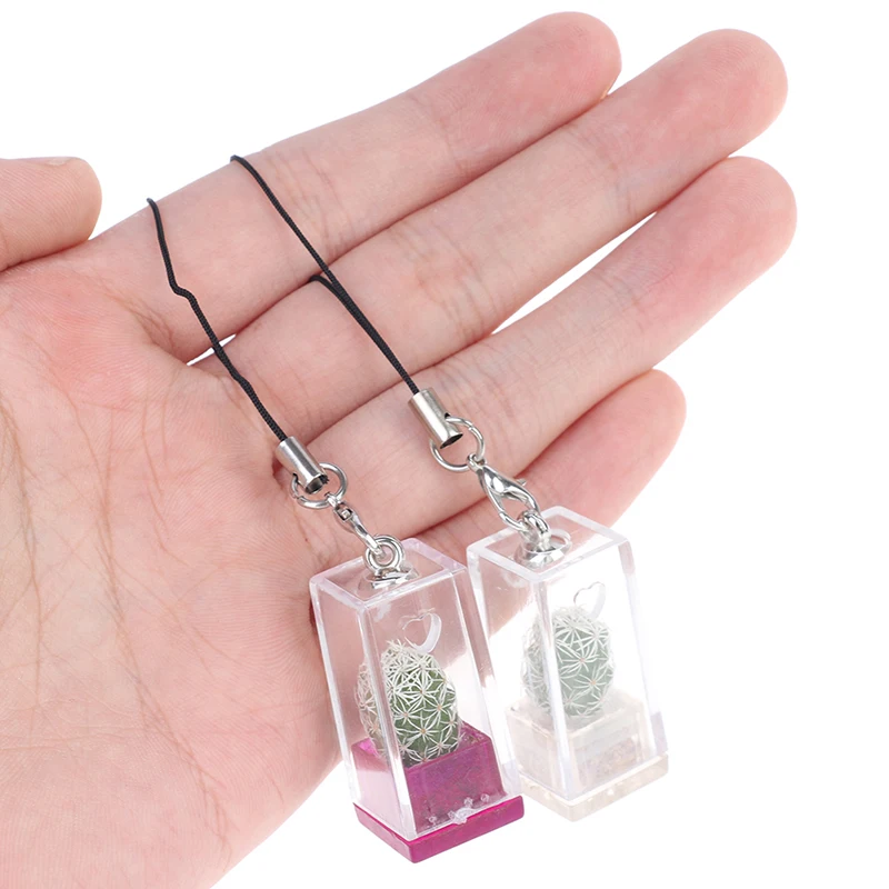 Succulent Plant Pendant Mini Succulent Cactus Plant Keychain Random Pendant Keyring Charm With Glass Cover Craft Gifts stainless steel keychain