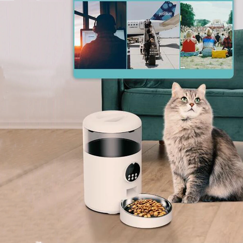 3L Automatic Smart Pet Feeder Button APP Control Dry Food Dispenser for  Cats Timing Feeding Dog Food Dispenser Cat Accessories - AliExpress