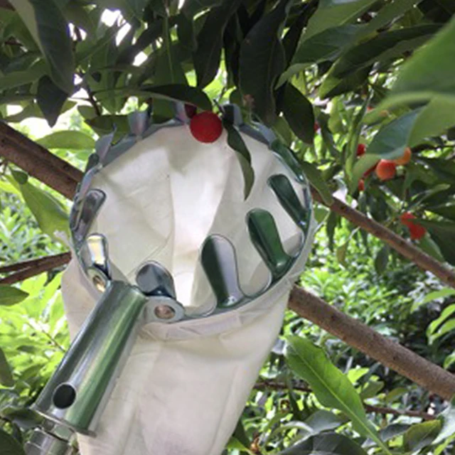 Metal Fruit Picker Gardening Apple Peach High Tree Picker Fruit Catcher Gardening Supplies