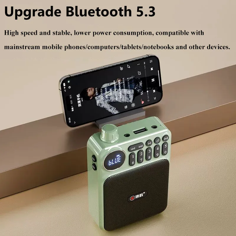 Mini Pocket FM Radio High Sensitivity Digital Radios Recorder Wireless Bluetooth Speaker MP3 Music Player with TF Card USB Port