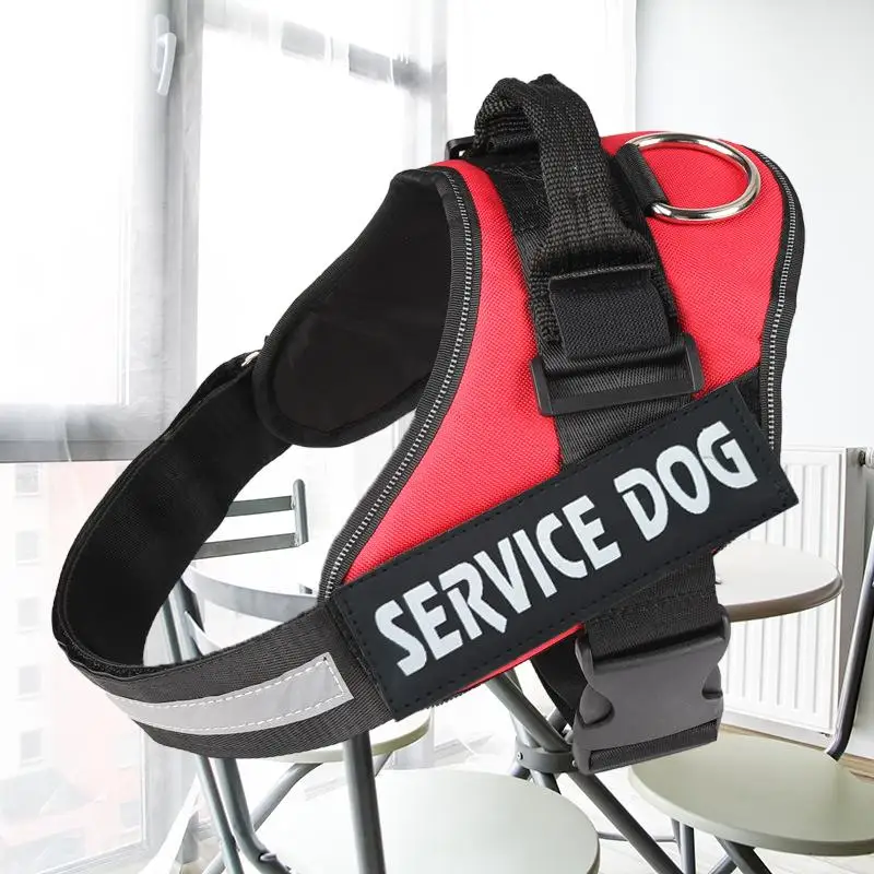 

Ultimate Comfort Large Dog Chest and Back Harness with Pet Leash - Premium Quality Pet Supplies for Active Dogs