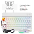 White-And Mouse