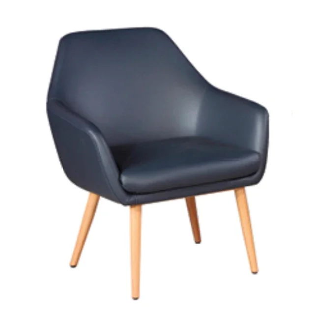 סלון ריהוט סלון כיסאות ספה מרופד כיסא