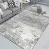 Minimalism Rooms Decoration Carpet Light Grey Living Room Carpets Hall Sofa Large Area Rug Bedroom Cloakroom Floor Mat Anti Slip 2
