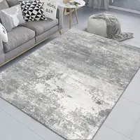 Minimalism Rooms Decoration Carpet Light Grey Living Room Carpets Hall Sofa Large Area Rug Bedroom Cloakroom Floor Mat Anti Slip 2