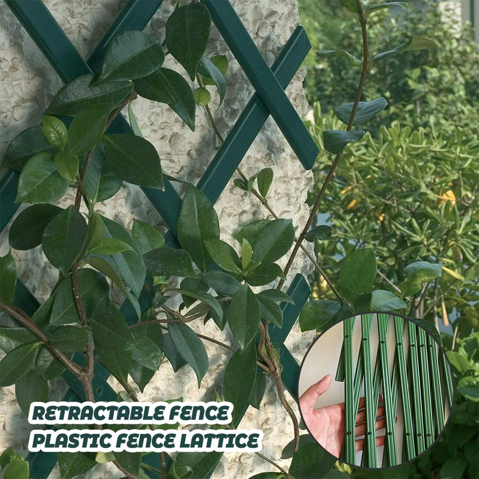รูปสินค้า Hedge Lattice Trellis Wall Fence ทนทานกึ่งคู่มือกึ่งกล Trellis สําหรับสนามหญ้า Garden Backyard
