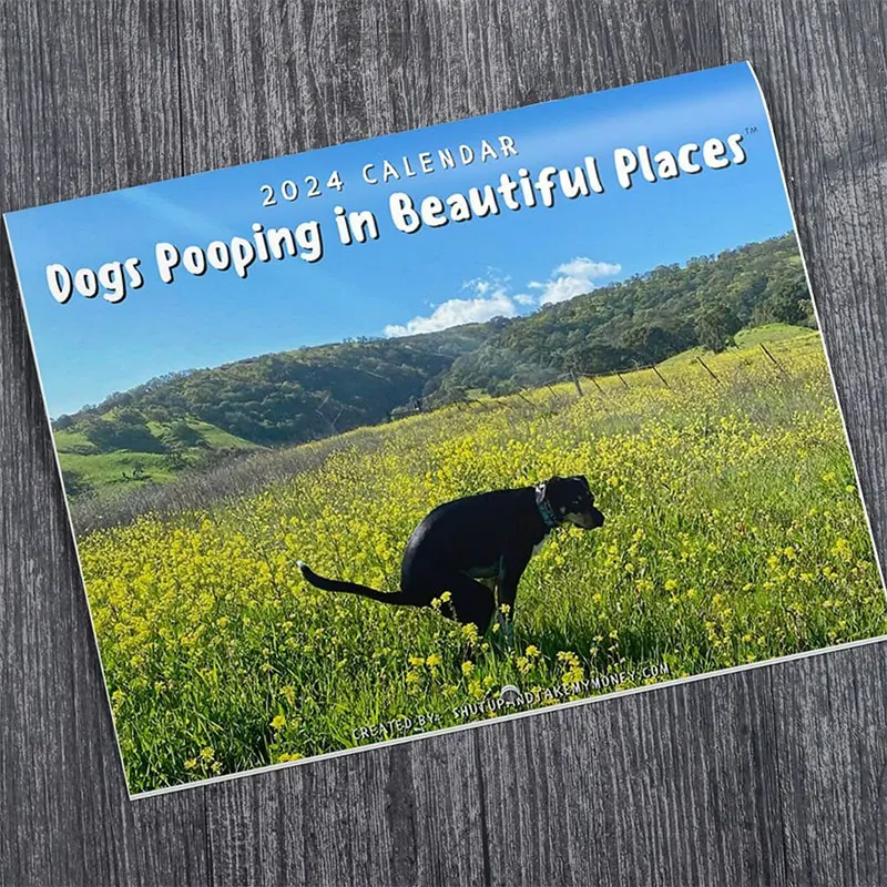 Funny Dog Pooping Wall Calendar Gift for Friends Family Neighbors Coworkers Relatives Loved Ones wall calendar