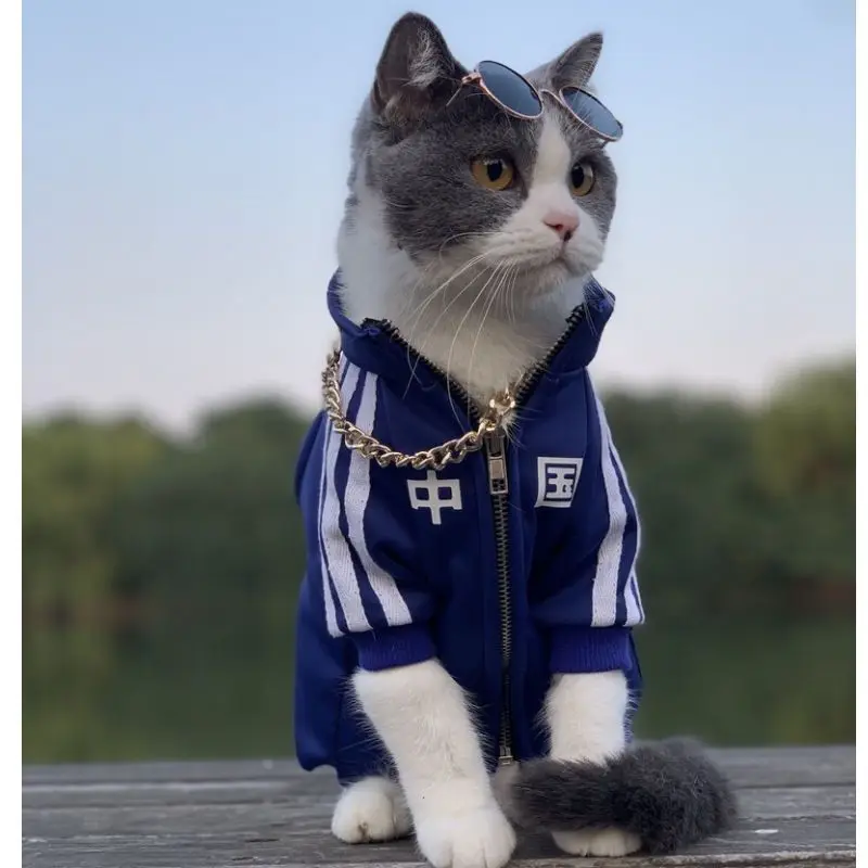 adidas cat clothes