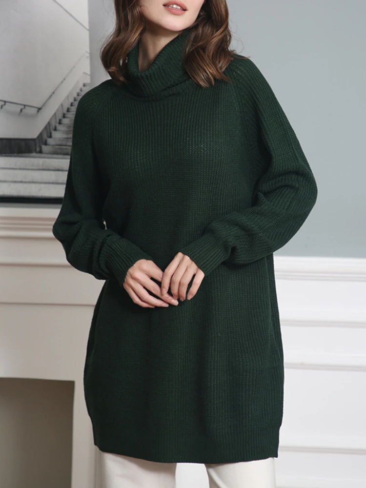 

Новинка Осень-зима 2023 Европейское и американское модное платье средней длины с длинным рукавом и высоким воротником и карманами Свободный свитер для женщин