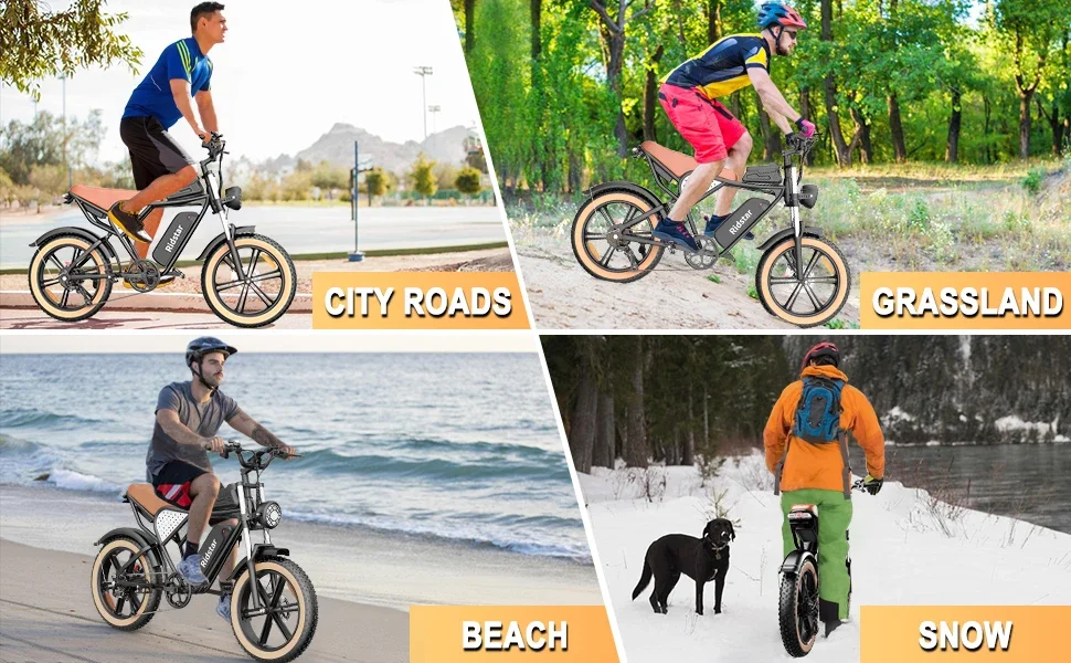 adult electric bicycles
