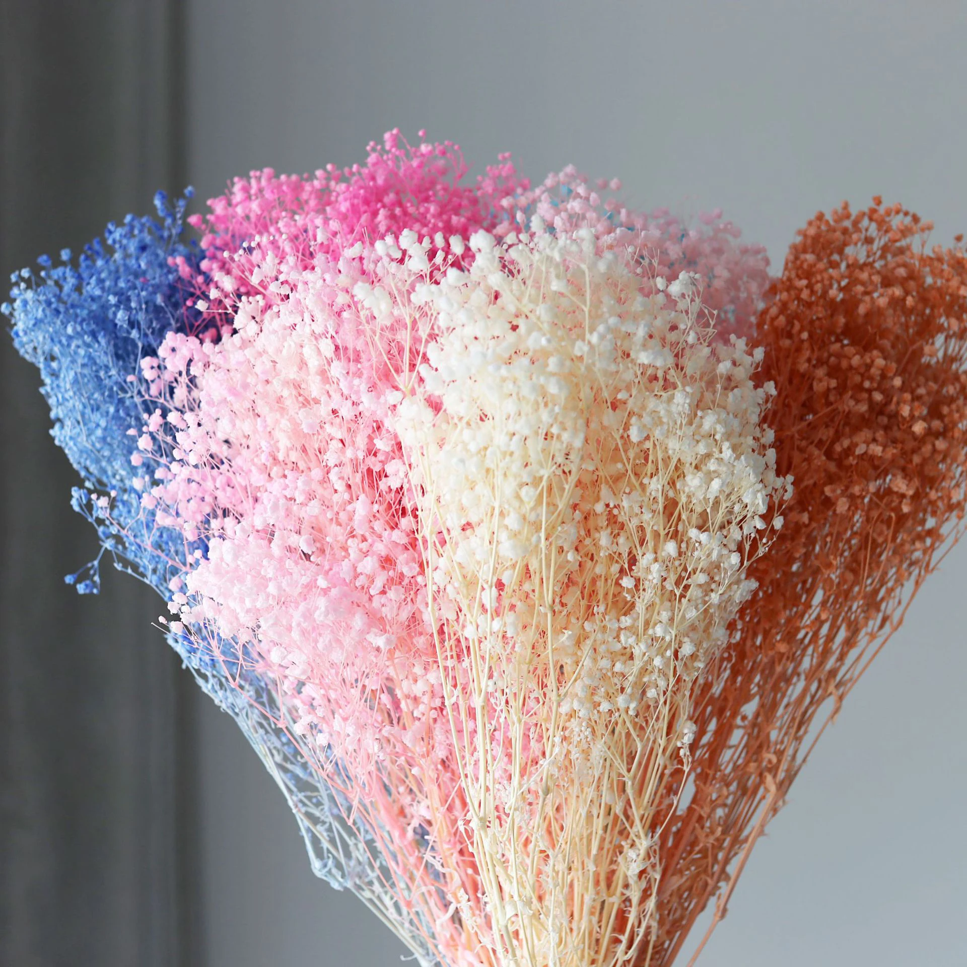 

Natural Small Baby Breath Gypsophila Bouquet Garden Wedding Decoration Colorful Millions of Stars Dried Flowers Boho Home Decor