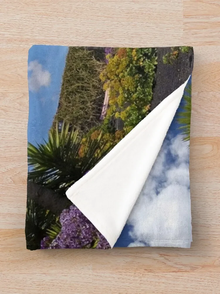 Cesar Manrique Fundacion ��ȭ �� ���� ������ ���, �ڽ����� �ִϸ��̼� �ö��� ���� ���