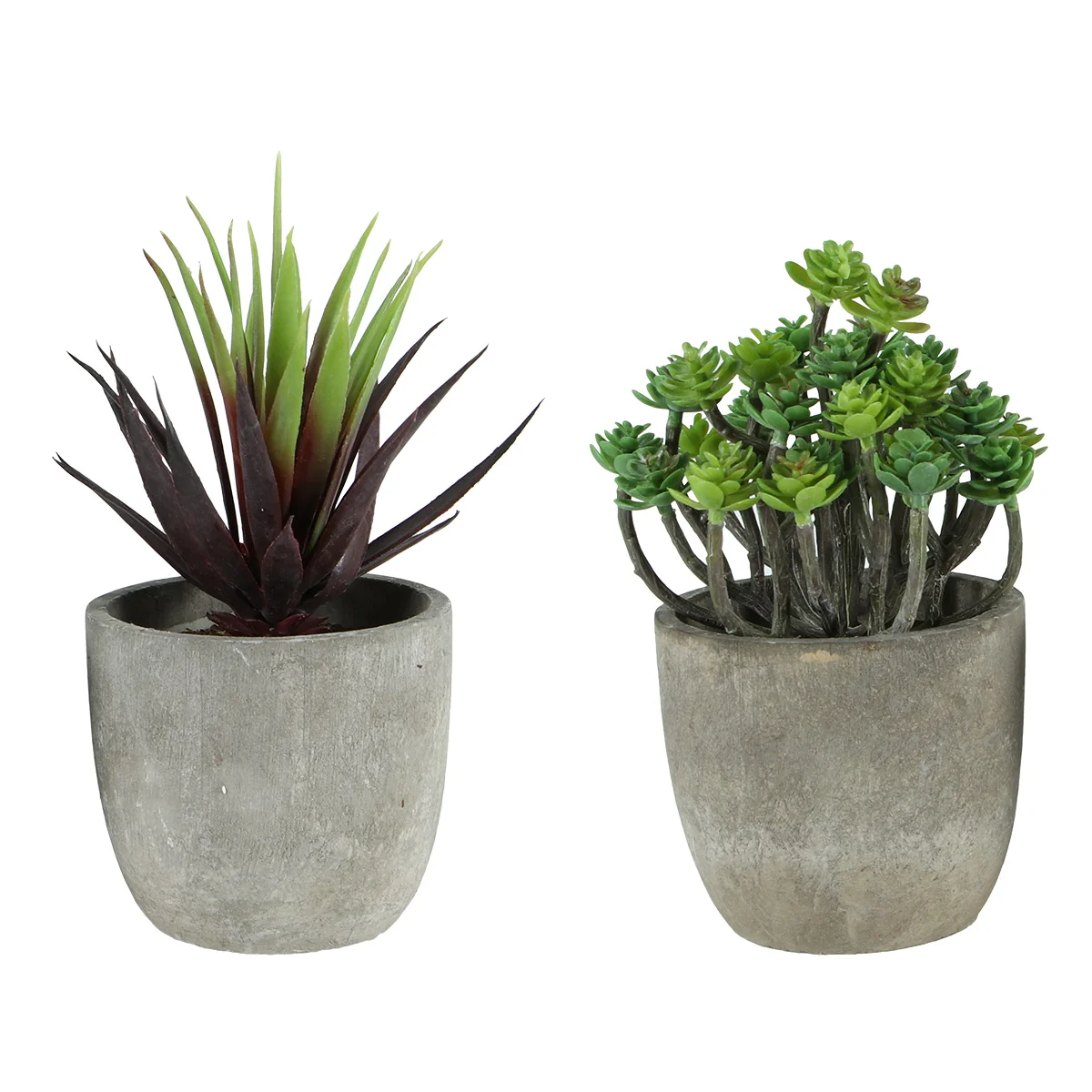 

Plants Plant Decorative Succulent Potted Plastic Artificial