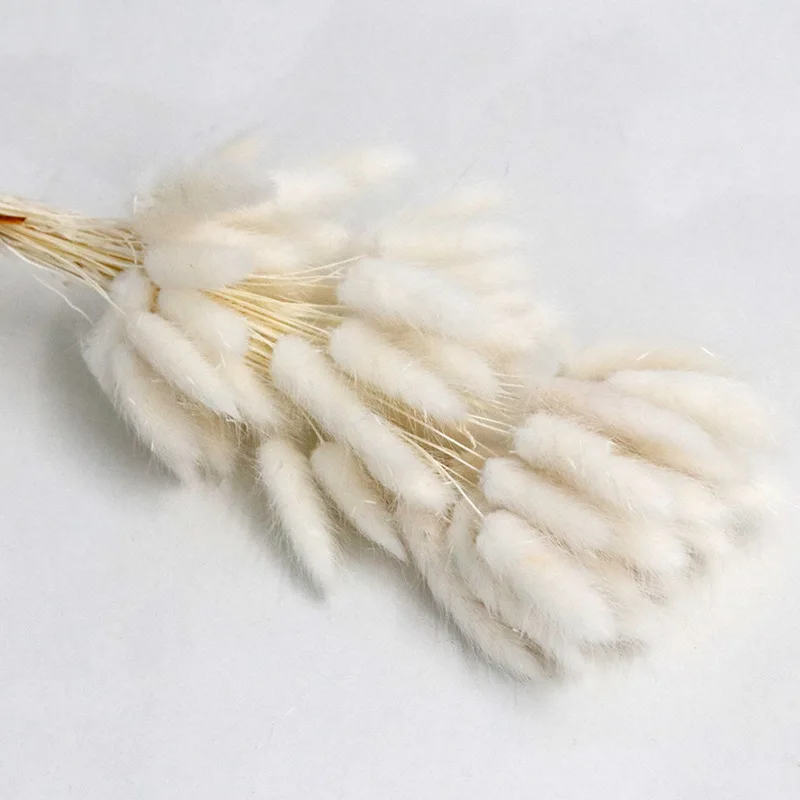 Рисунок 6 - букет зайцевых хвостов