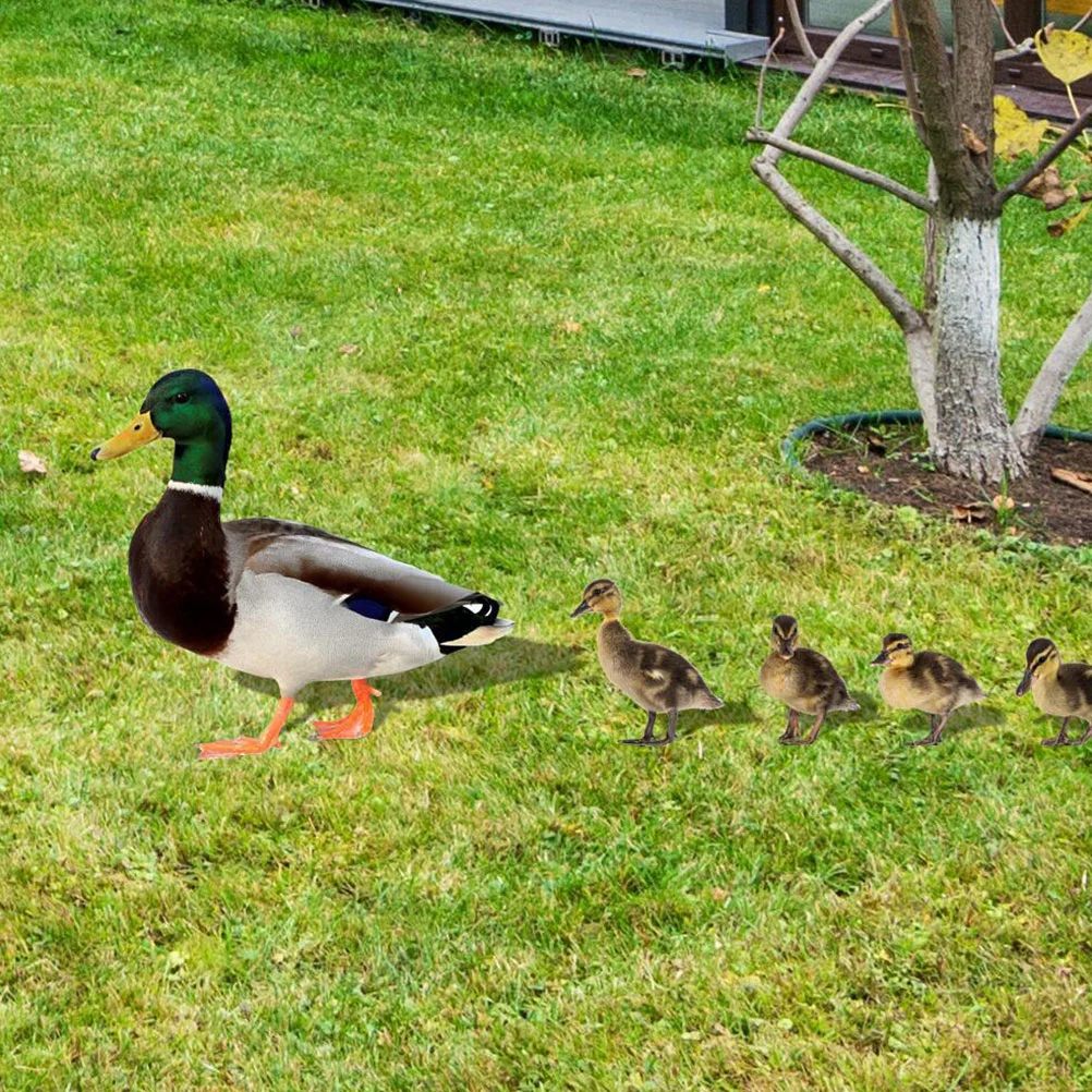 

Garden Decoration Insert Lawn Stake Interesting Outdoor Ducks Hen Yard Ornament Stakes Rooster