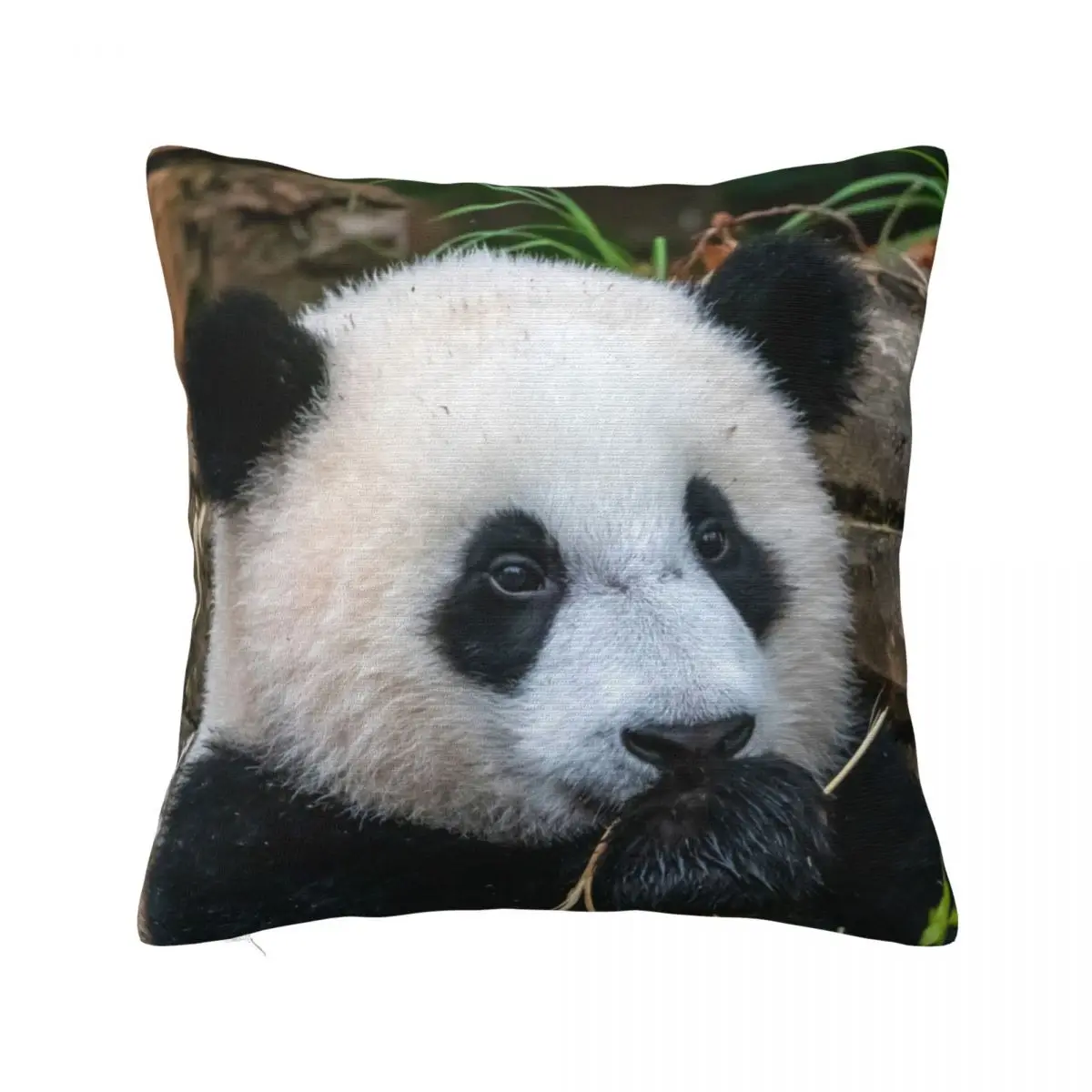 

Giant Panda Xiao Qi Ji at the National Zoo Throw Pillow Cushions Decorative Cushions For Living Room Pillowcases For Pillows