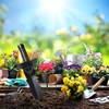 Camping Shovel Mini Metal Shovel Lightweight Small Digging Tool Galvanized Iron Multifunctional Garden Shovel for Home 3