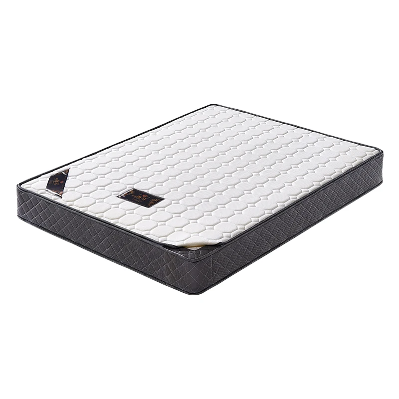 

ZL Dual-Use 3D Coconut Palm Independent Spring Hard Mattress Thickened Ridge Protection 1.8 M Double Bed