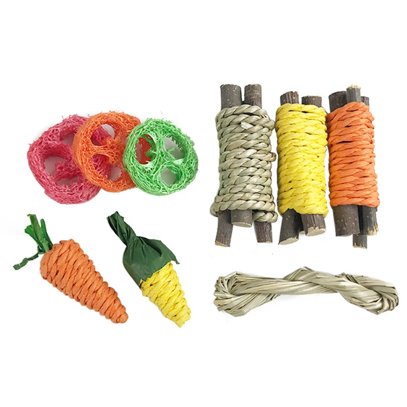Small Animal Chew Toy Rabbit Carrot Grind Teeth Toy Rodent Chew