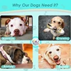 Bite Resistant Solid Dog Ball Toys for Small Large Dogs High Elasticity E-TPU Pet Chew Ball Toy Non Squeak Interactive Puppy Toy 5