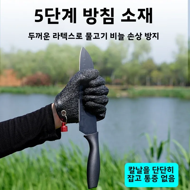  ߿  尩  ̲   īο ü  ٴ  ̳    尩
