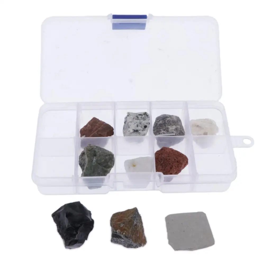 Science Items Rocks 10 Pieces Collection of Rock Mineral Stones Scientific Specimens of ...