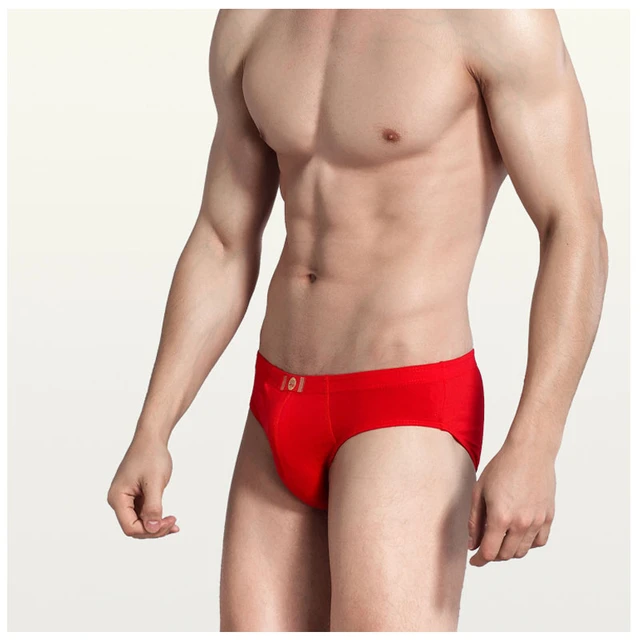 Briefs, Men's Underwear